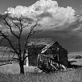 Goodnoe Station, Homestead B/W