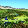  Harney County, Oregon