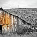 McDonald farm