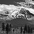 Mt, Shasta B/W