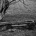 Nelsons Homesteads Wagon B/W 