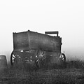 Wagon In The Fog